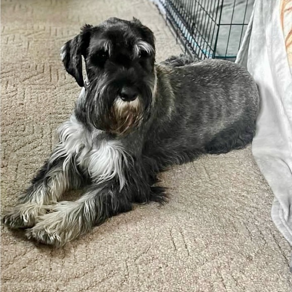 Offers are welcomed and encouraged - Picture 5 of 6